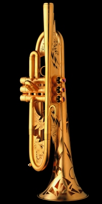 kepek/instrument_nirvikalpa.jpg (36260 bytes)